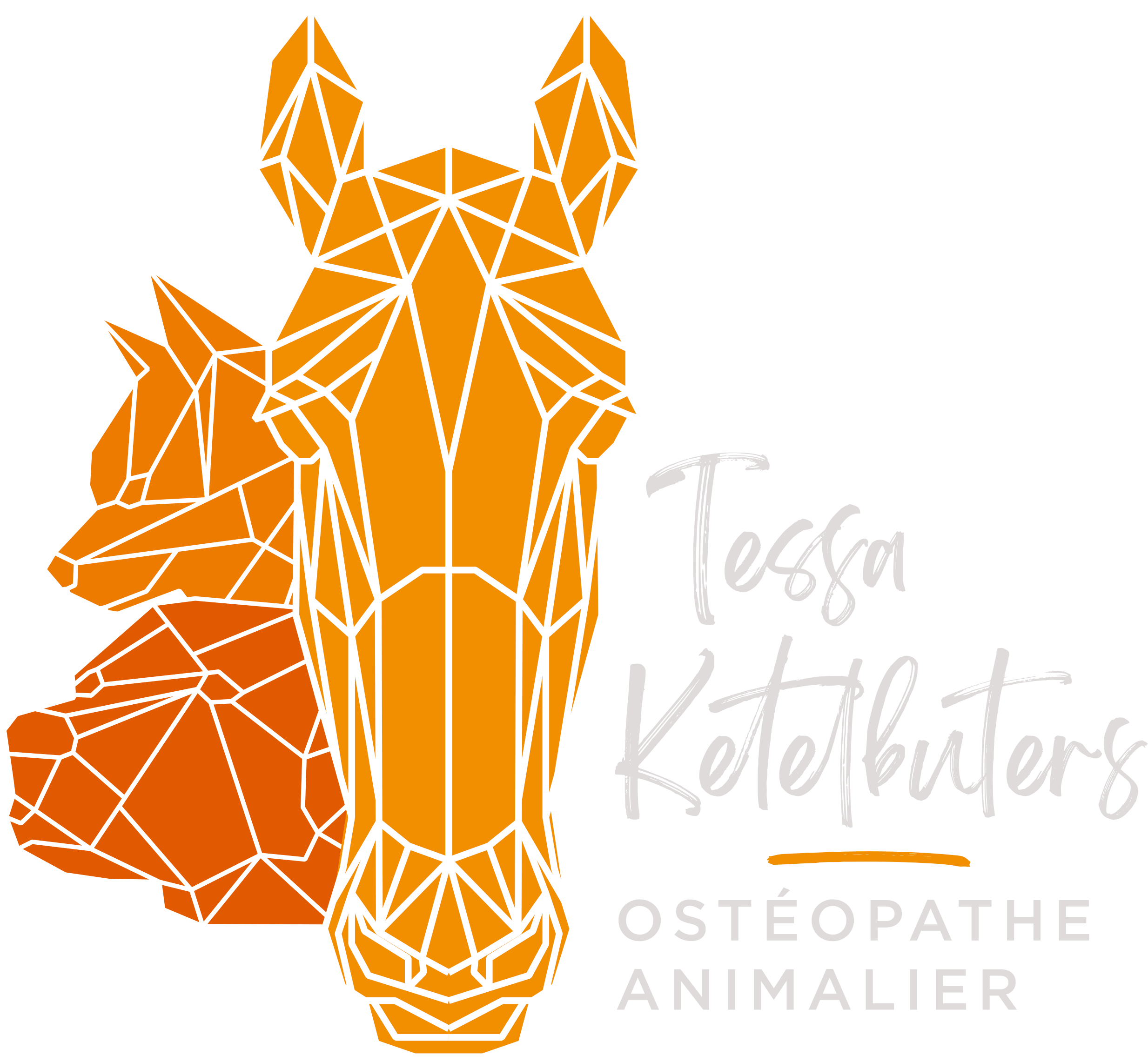 Logo Tesssa Texte blanc-min